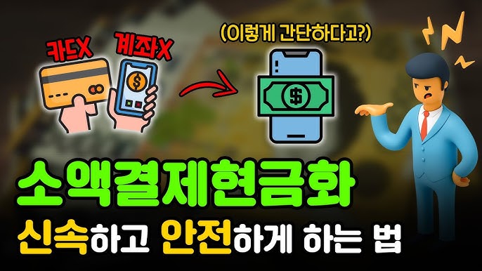 소액결제 정책
