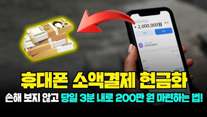 소액결제 정책